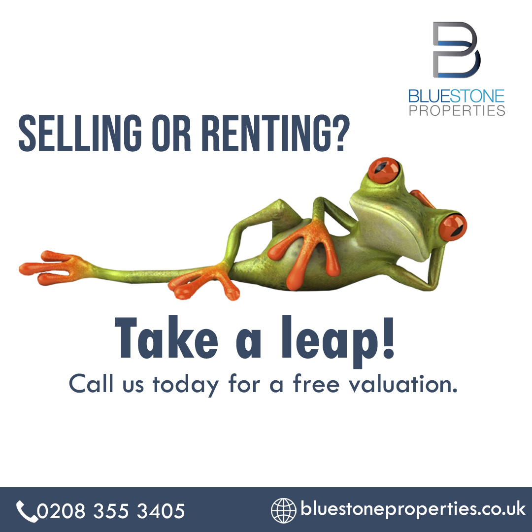 sidekickbee portfolio