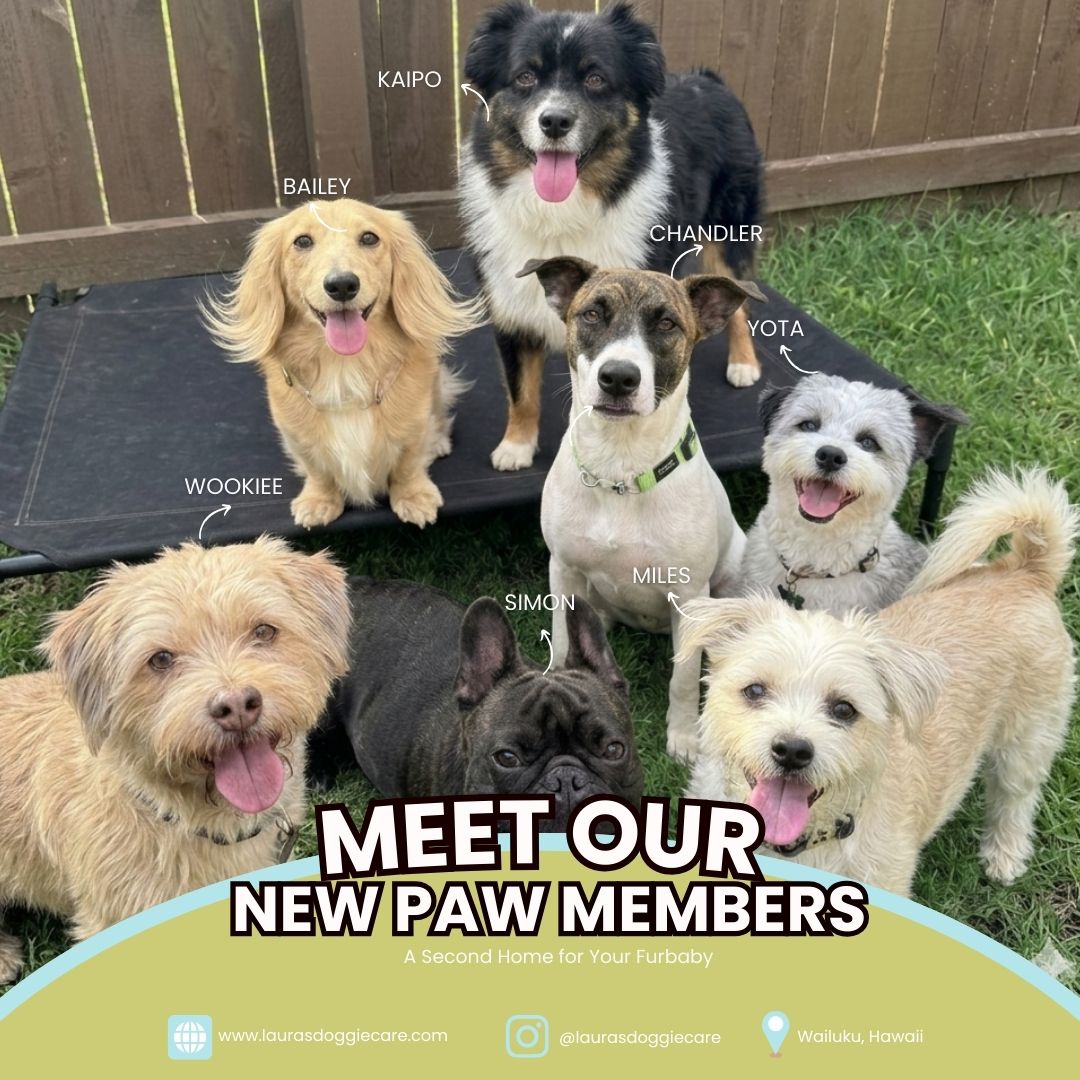 Sample Works SidekickBee